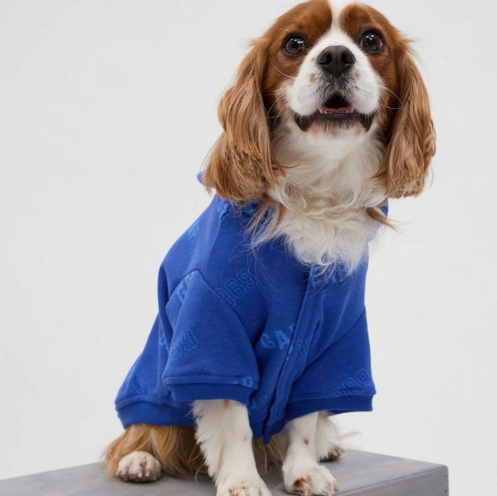 GAP PET HOODIE